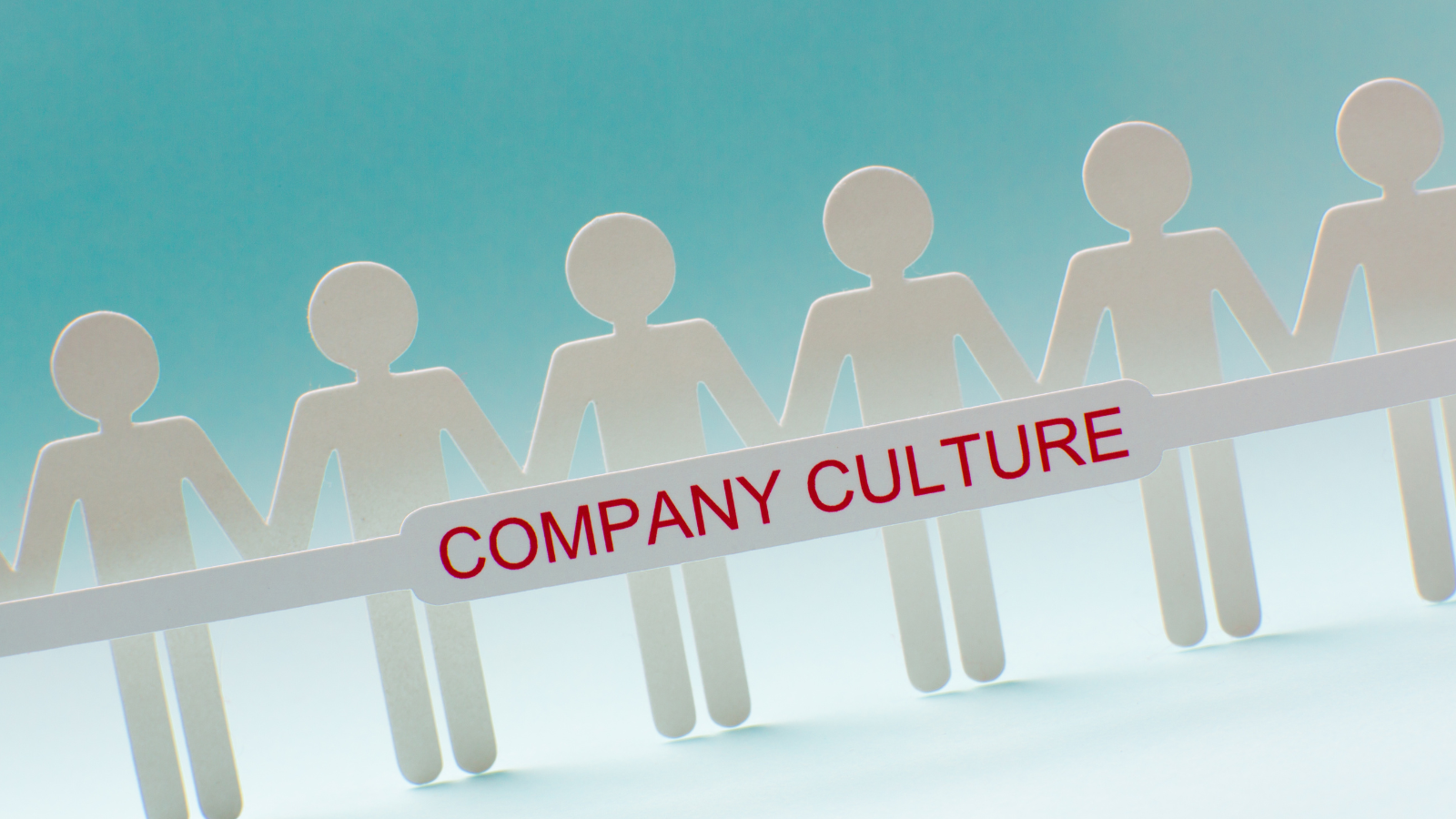 research on company culture